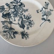 Assiette plate terre de fer sarreguemines fleur bleu- faïence ancienne