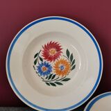 Assiettes Rustique Fleurs Lunéville