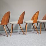 Chaises conçues par Antonín Šuman pour Tatra Nabytok, Tchécoslovaquie des années 1960.