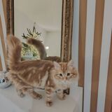 Golden mirror