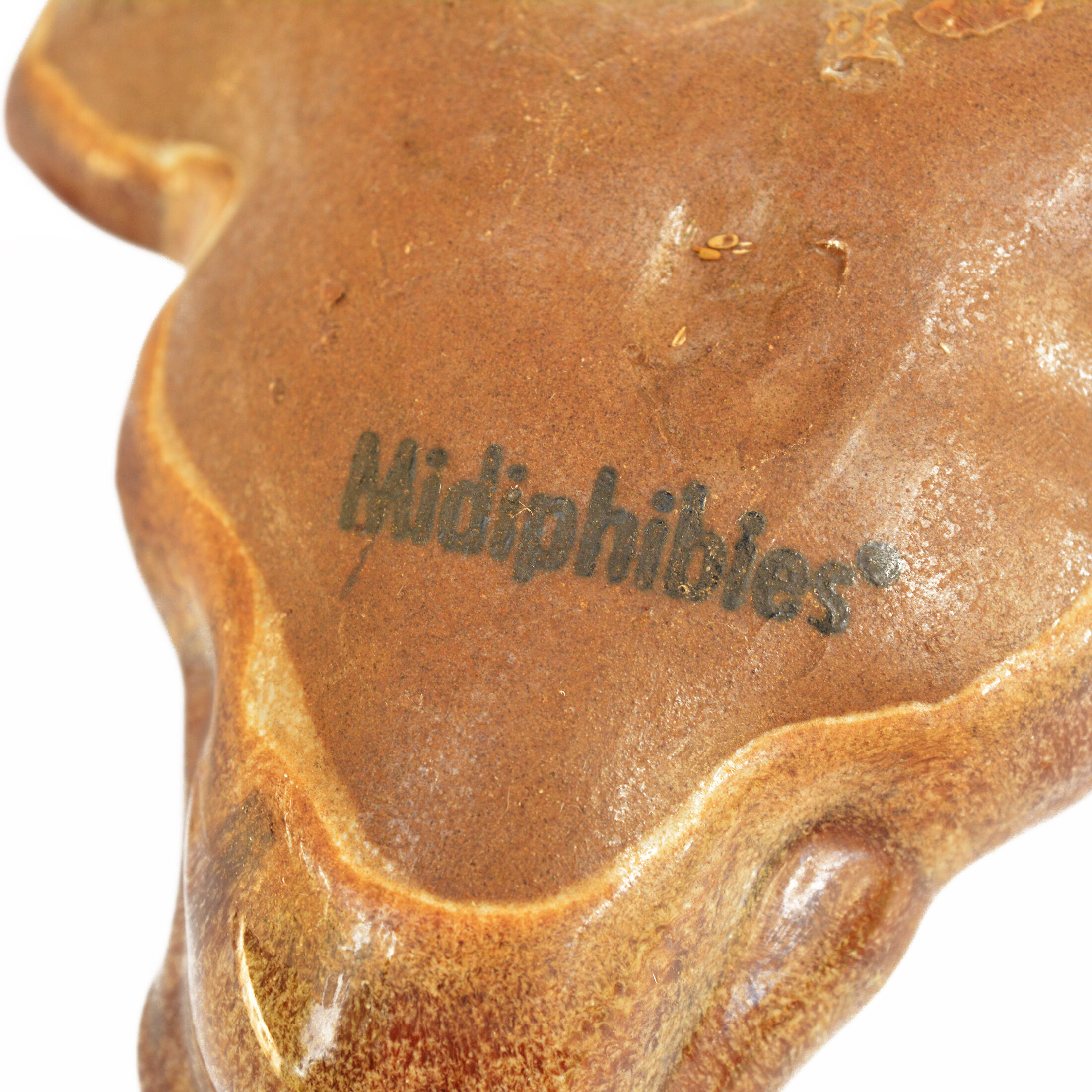 Crocodile, Midiphibies Germany 1980