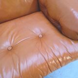 Pair of "Coronado" armchairs by Afra & Tobia Scarpa for B&B Italia, Italy 1970