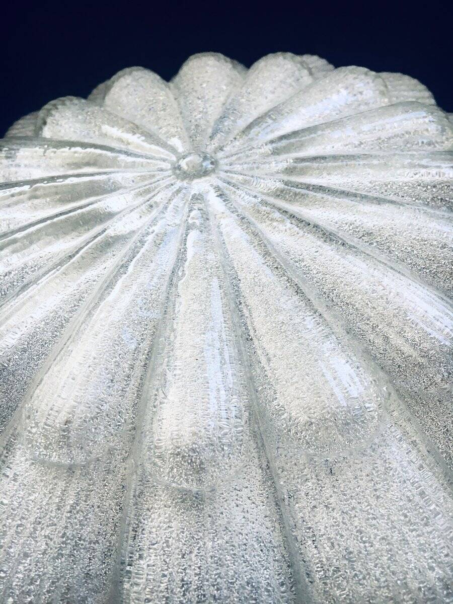 Large Frosted Flower Glass Sconce Wall Lamp from MCM, 1960s