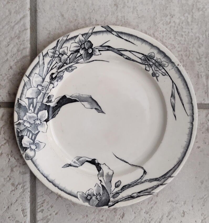 Flat plate JV et Cie Bordeaux / Chevreuse