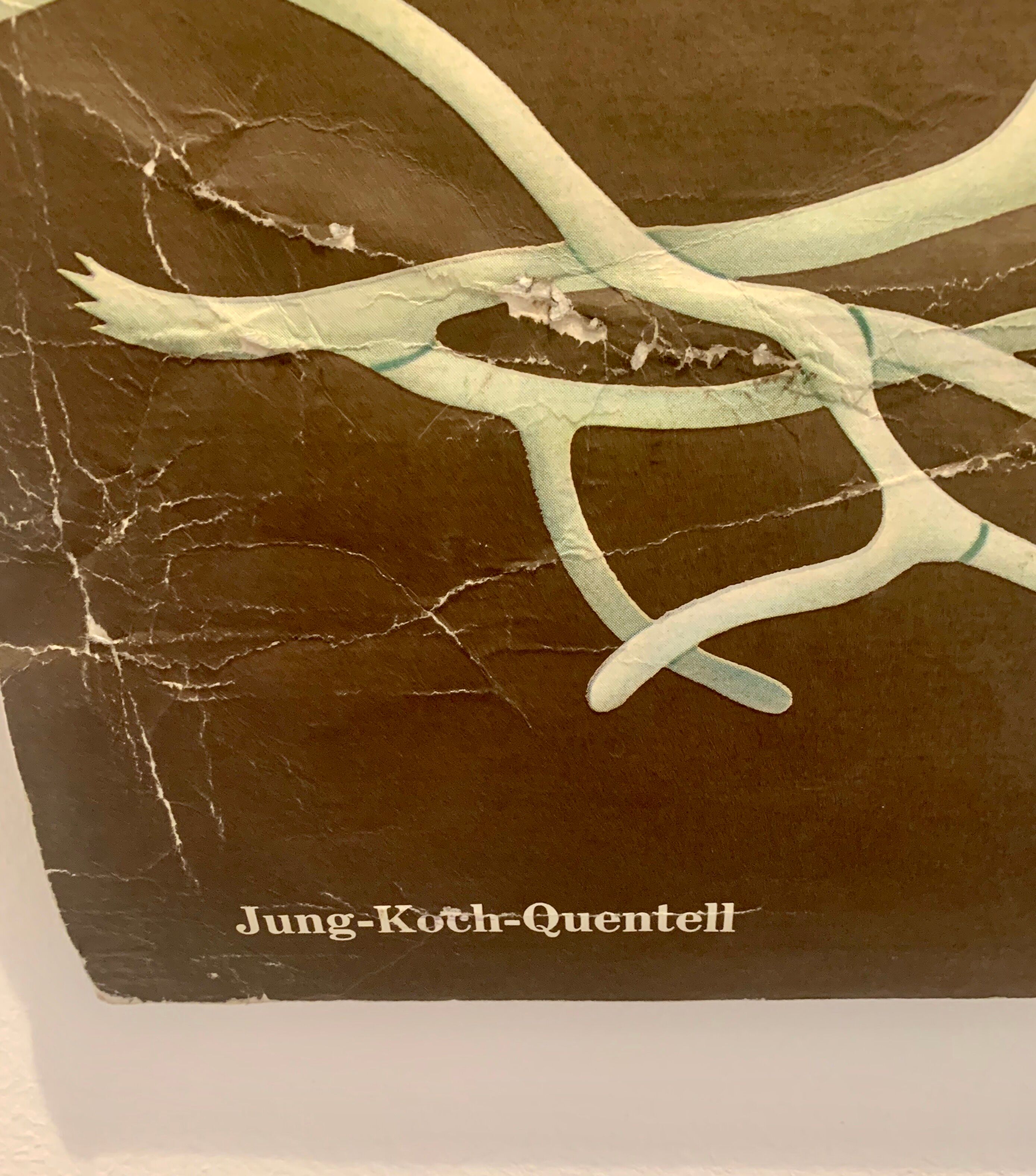 Vintage school teaching chart