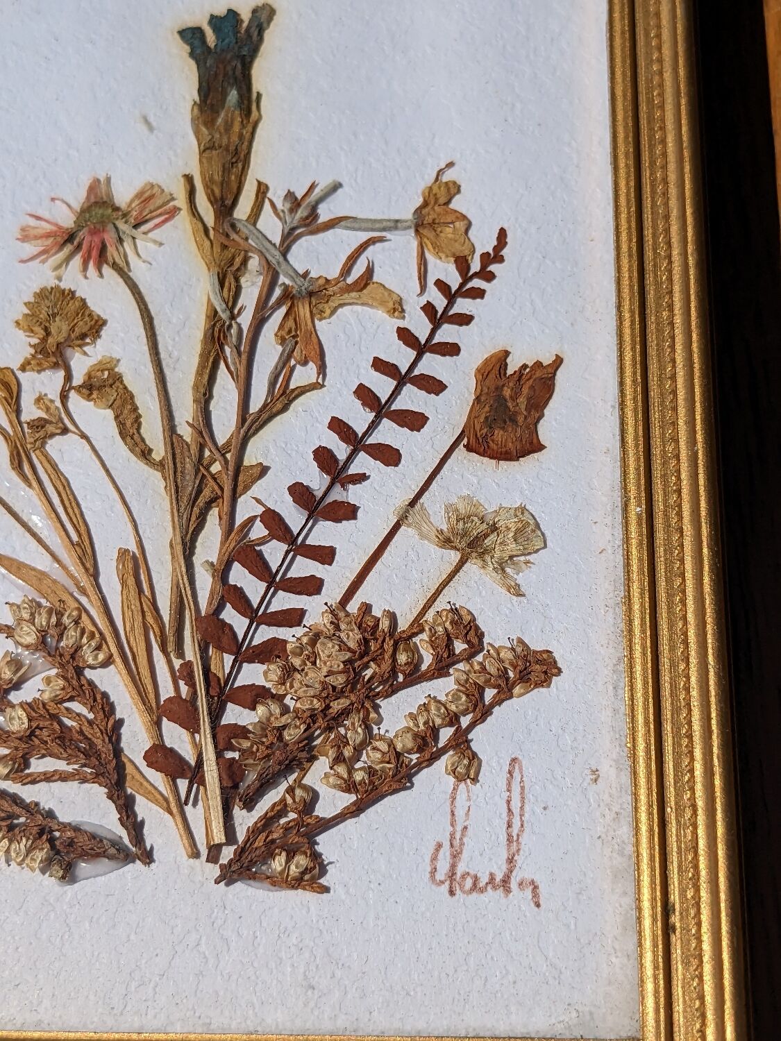 Vintage frame dried flowers