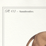 Set of 2 framed chimera lithography animal engraving