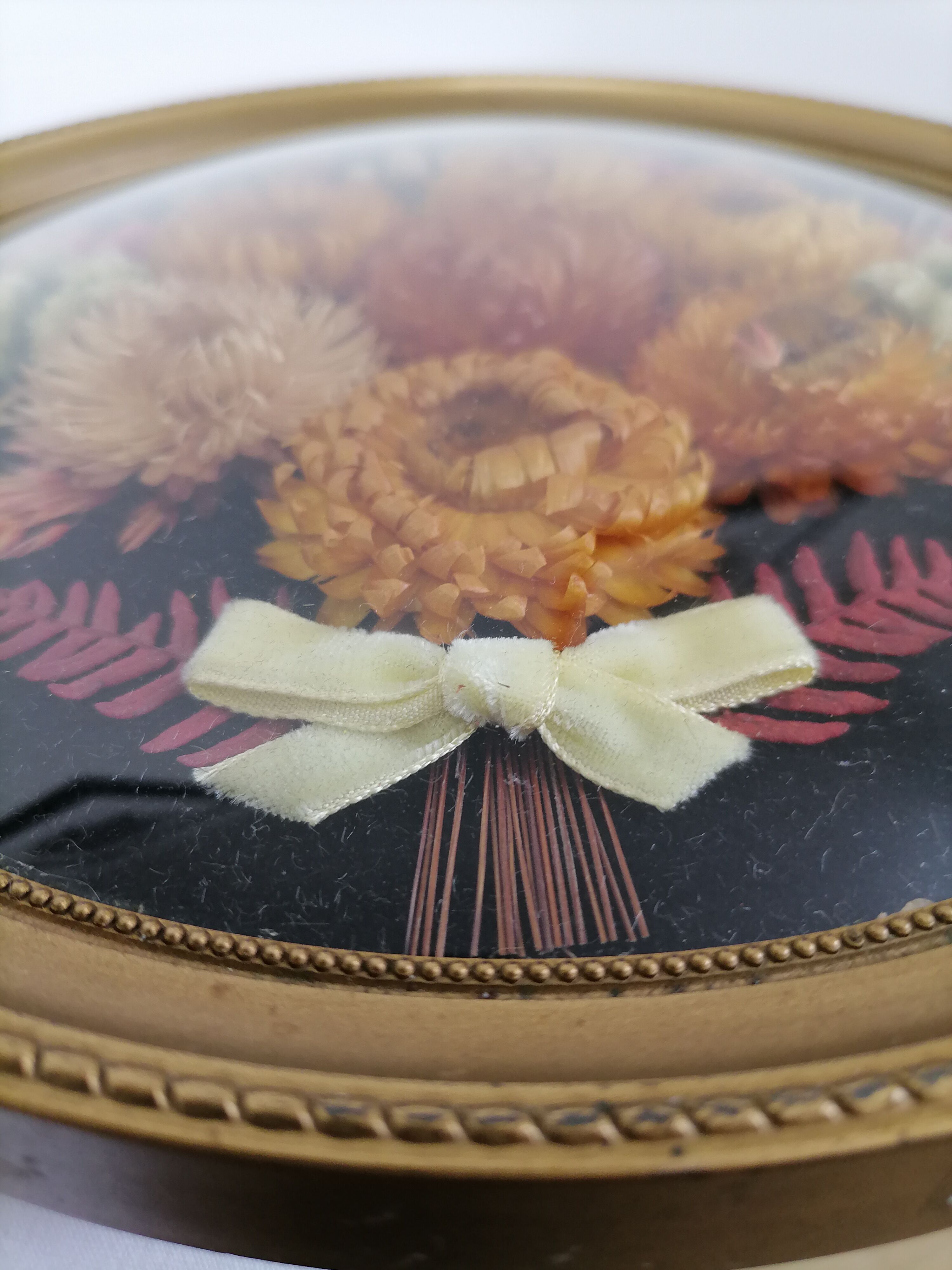 Dried flowers under curved glass frame