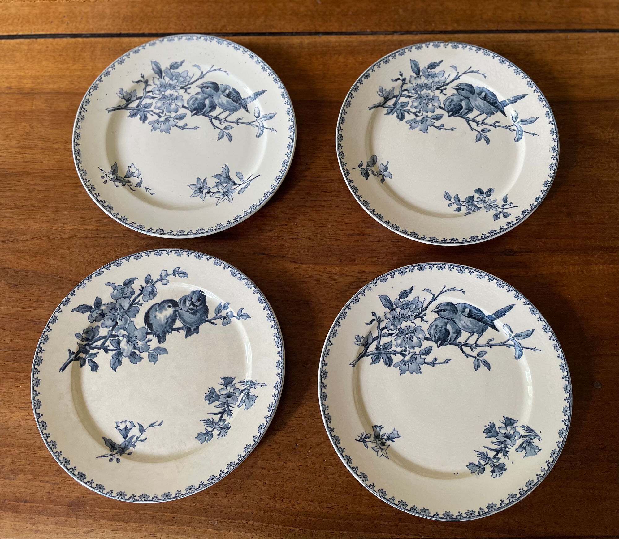 Flat plates Sarreguemines Terre de Fer model Blue Favorite