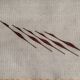 Set of five teak bird wall art, Denmark, 1960s