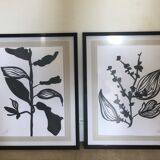 Diptych illustration plants caly