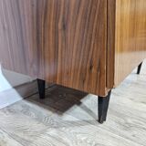 Shoe cabinet, 1960s, Mid Century Modern