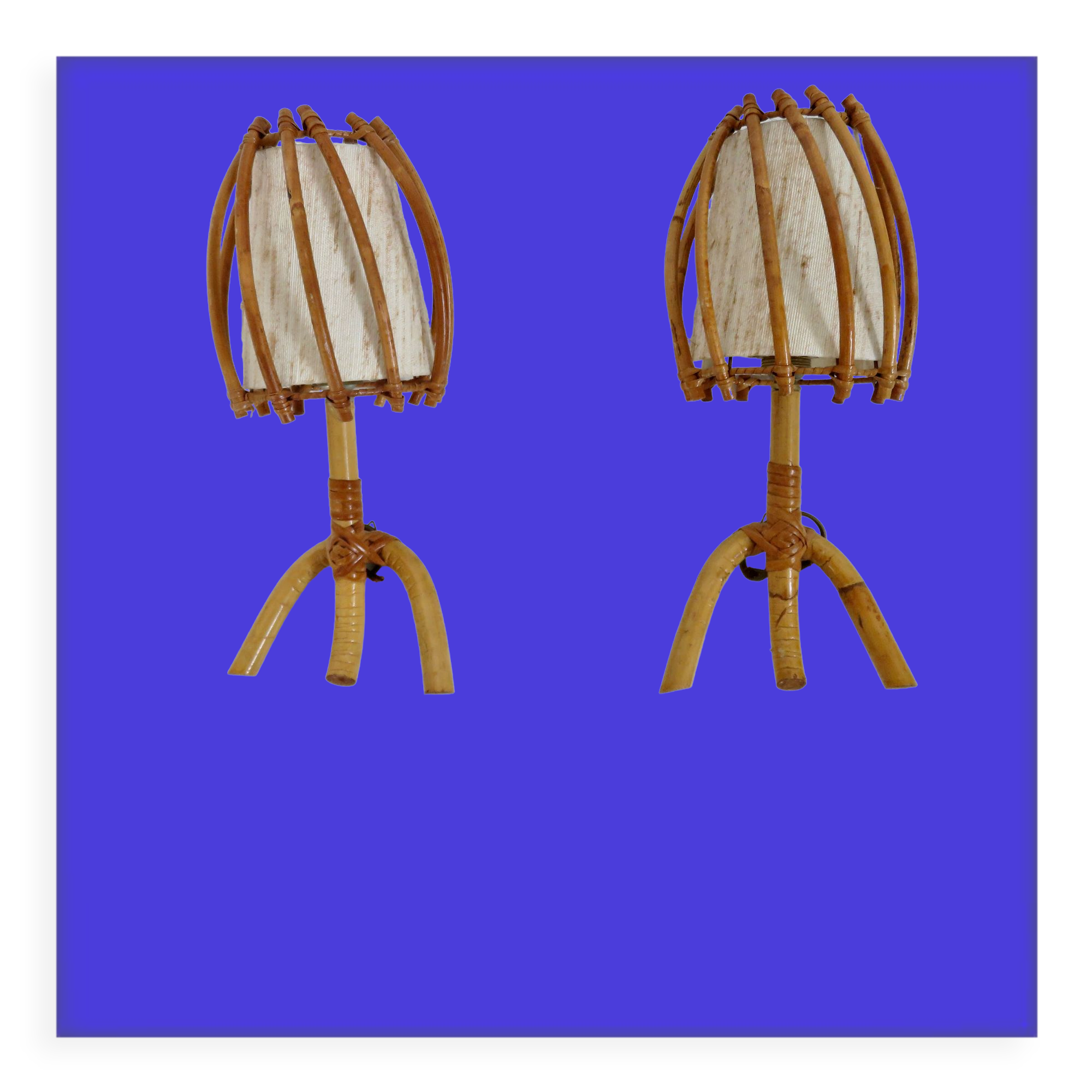 Pair of sconces Louis Sognot in rattan, bamboo 60s