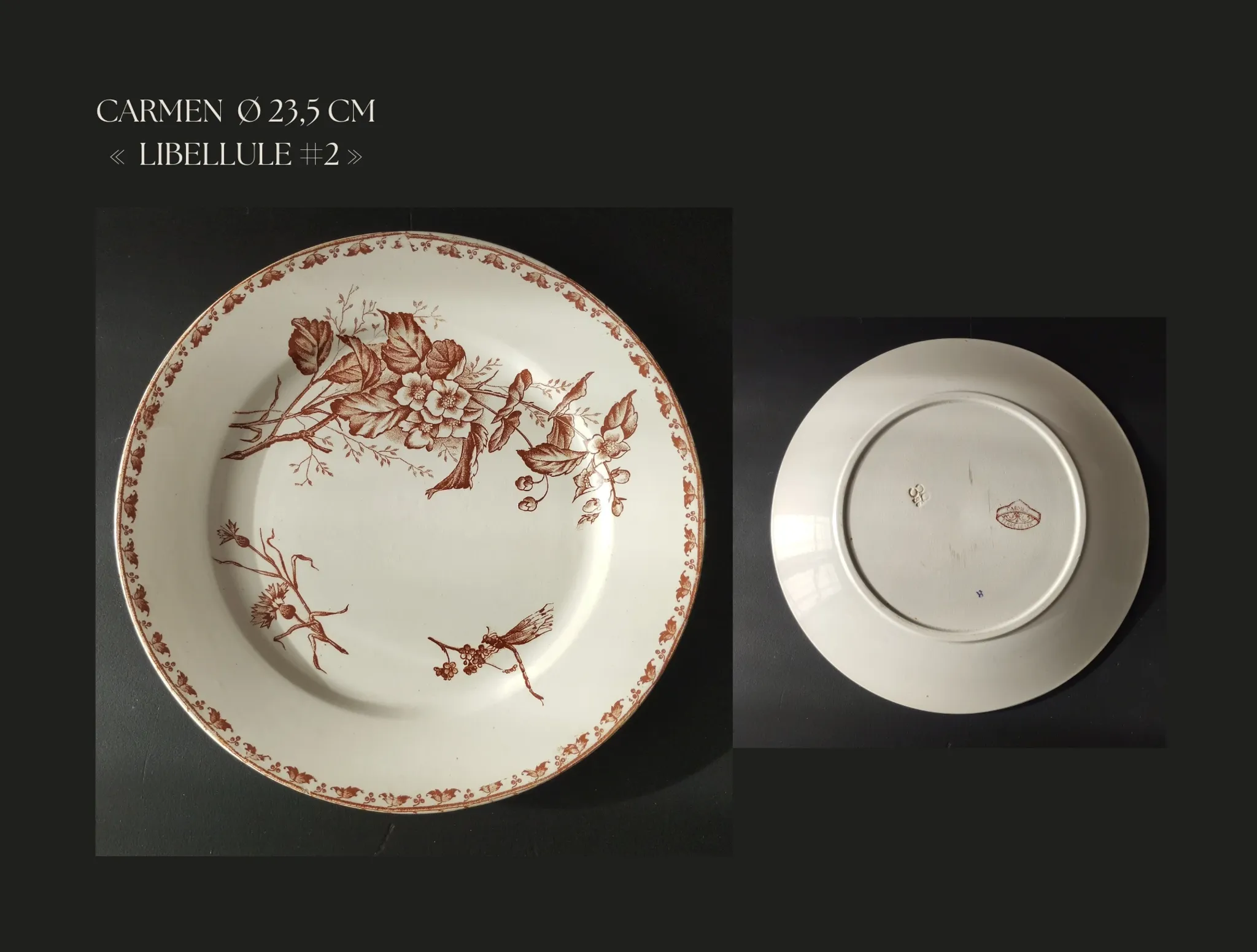 7 flat plates in earthenware from Sarreguemines U&C "Carmen"