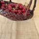 Japanese Ikebana basket, woven bamboo, 1960