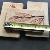 Roger ceramic tiles herbarium model