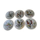 Porcelain plates
