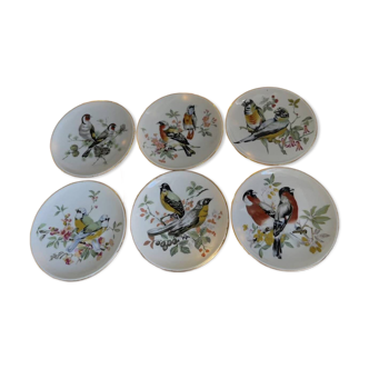 Porcelain plates