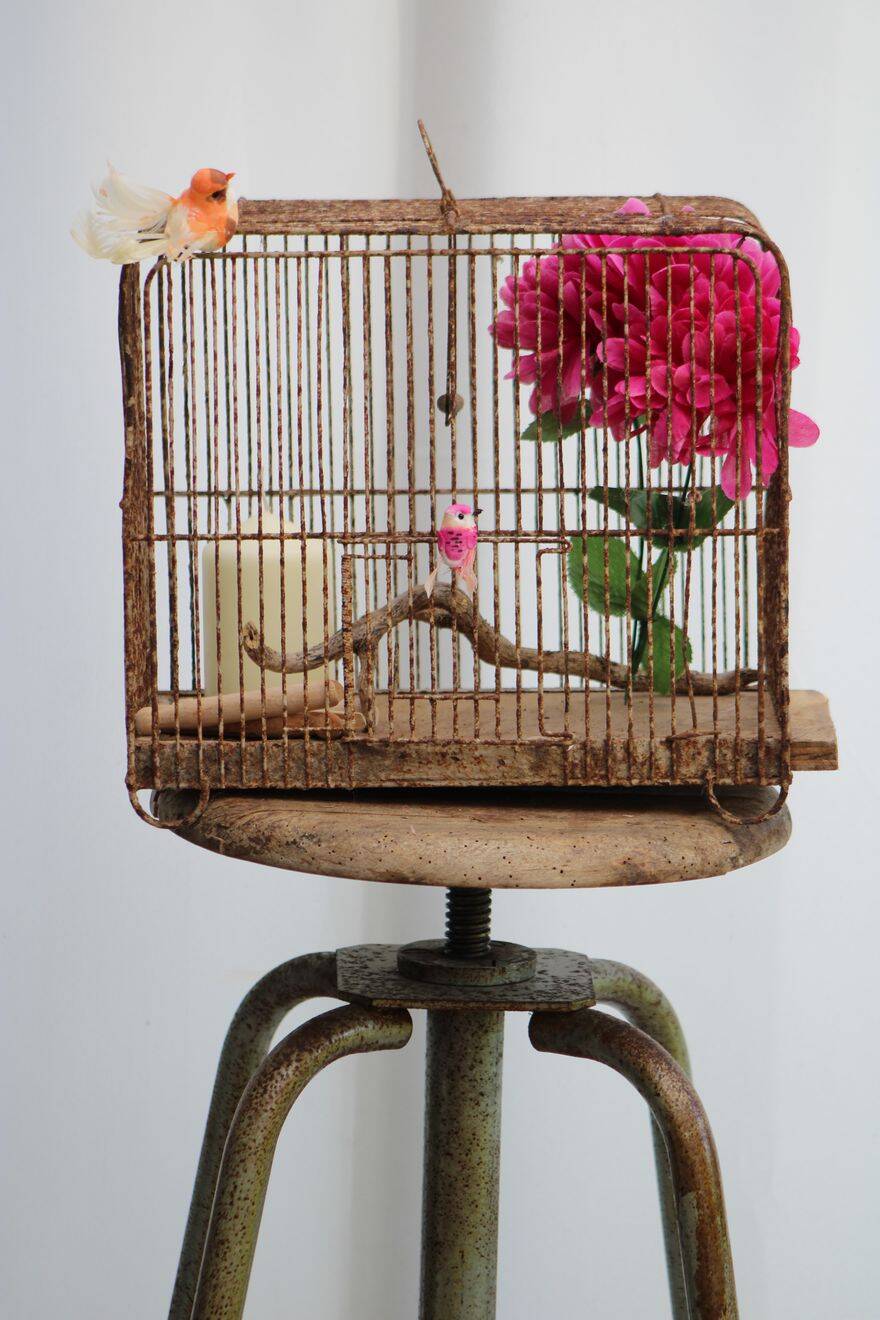 Old birdcage