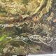 Oil painting on canvas animated lake landscape signed