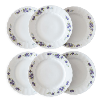 6 assiettes en porcelaine de Bavière Eschenbach violettes