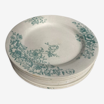 8 Terre de fer plates Anémones Bertrand Bordeaux old in green ceramic decorated with flowers