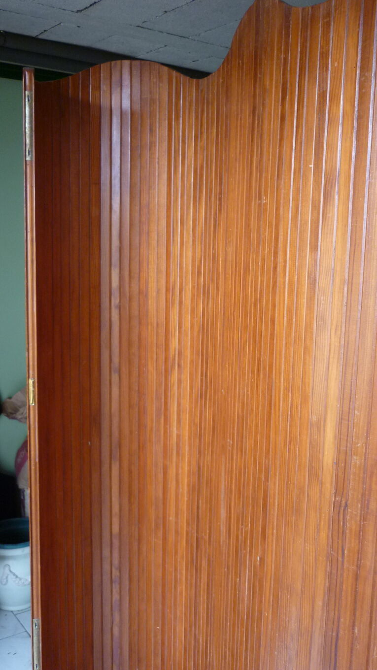 Baumann screen 250x180 cm