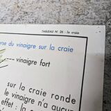 Affiche Scolaire MDI - Le charbon / La craie