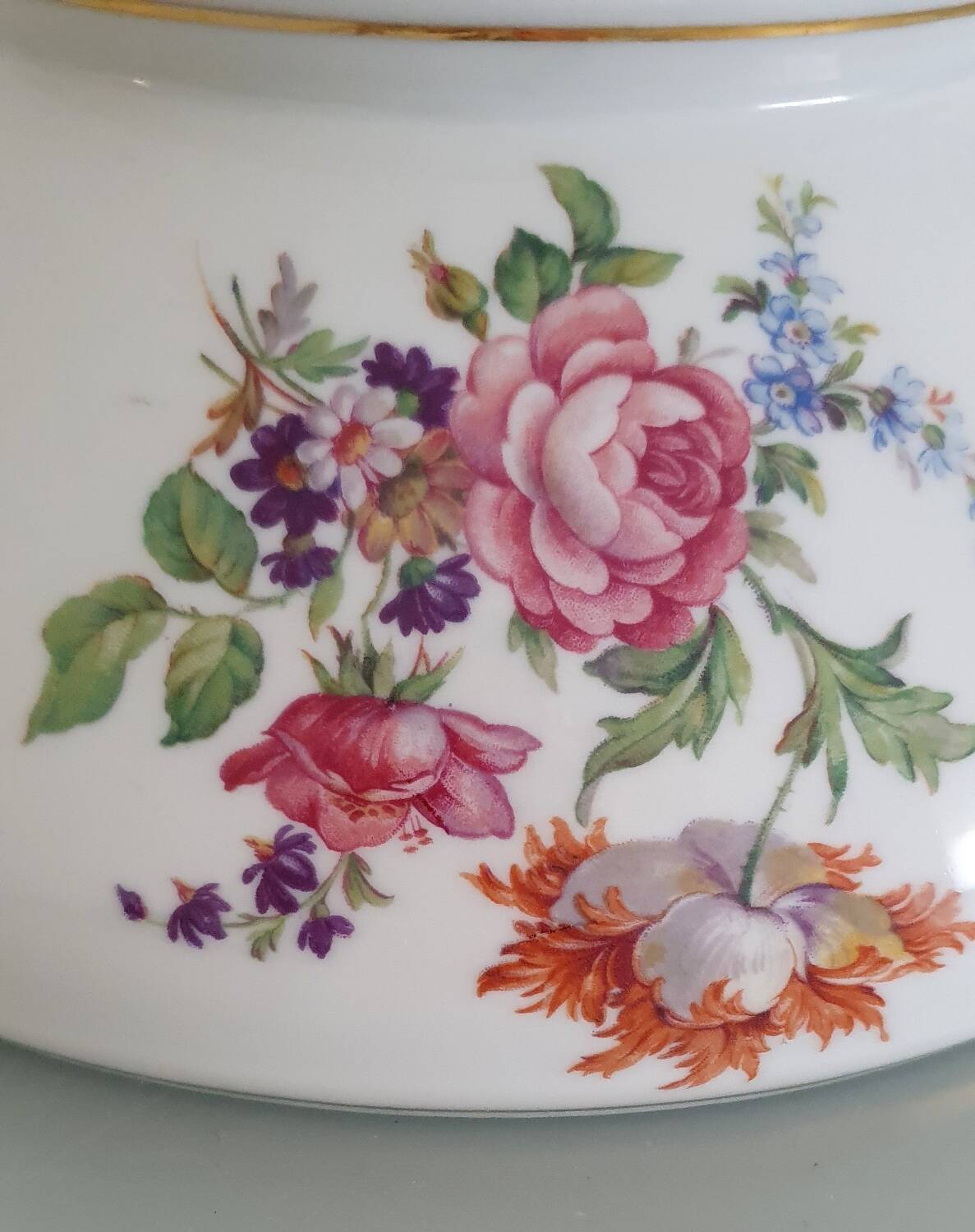 Limoges enamelled porcelain soup tureen