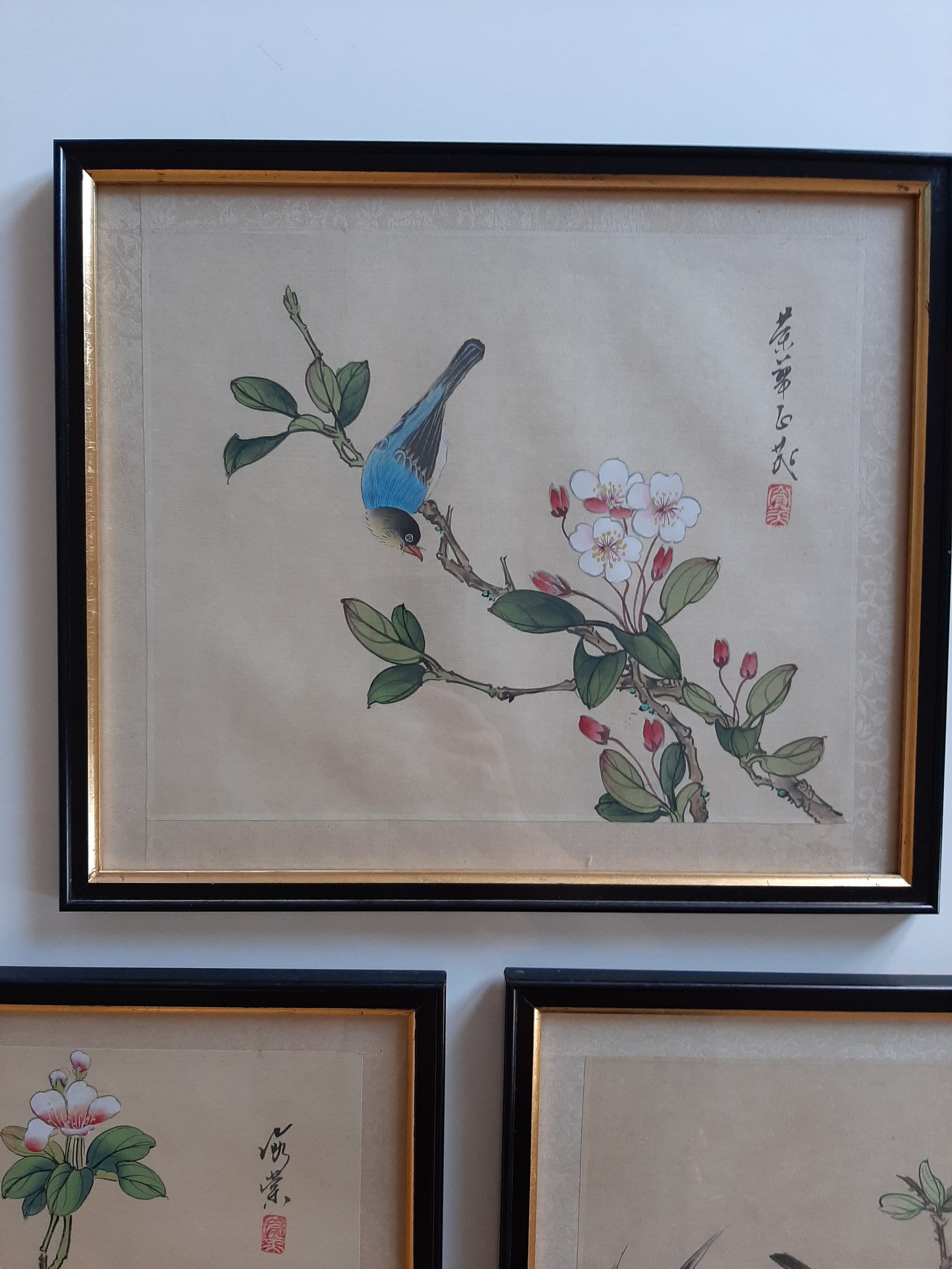 Lot 3 estampes oiseaux