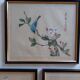 Lot 3 estampes oiseaux