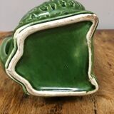 Pitcher frog the heir guyot