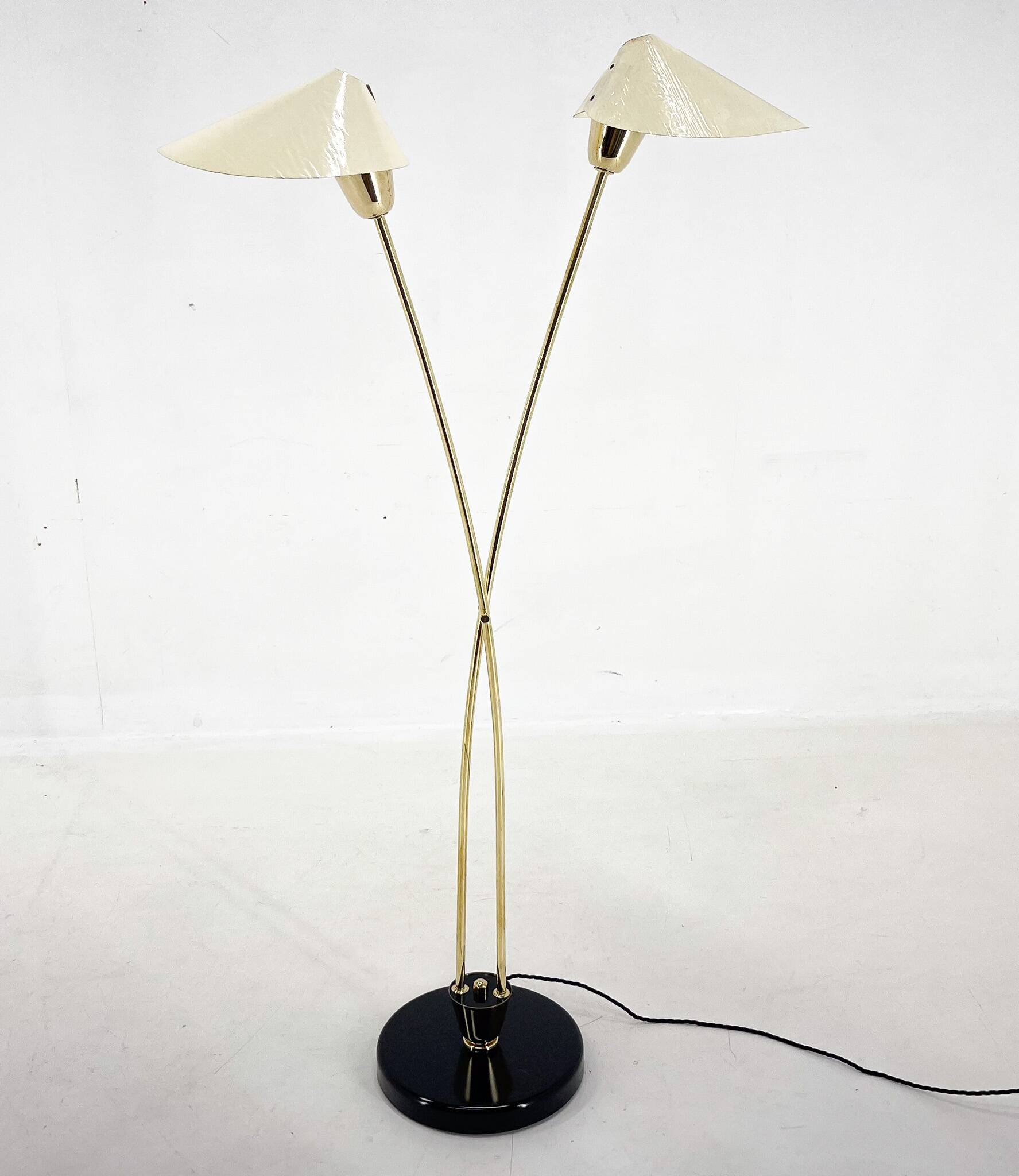 Mid-century Brass Floor Lamp by Napako, 1960s