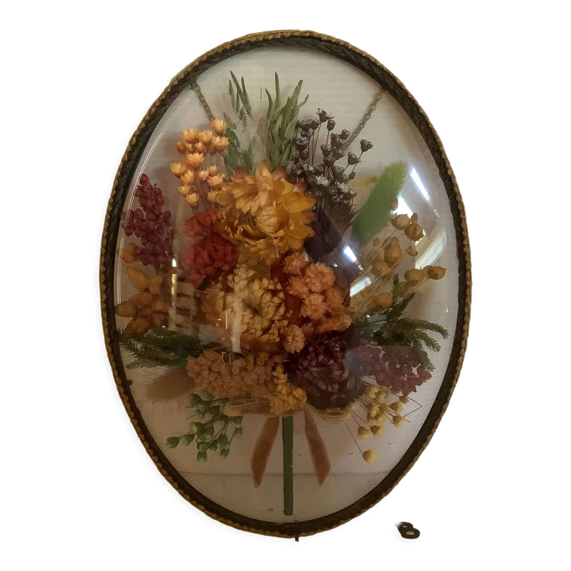Old glass frame domed natural dried flowers
