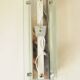 Pair of vintage glass and chrome wall sconces