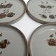Flat plates from Grès de l'arnon