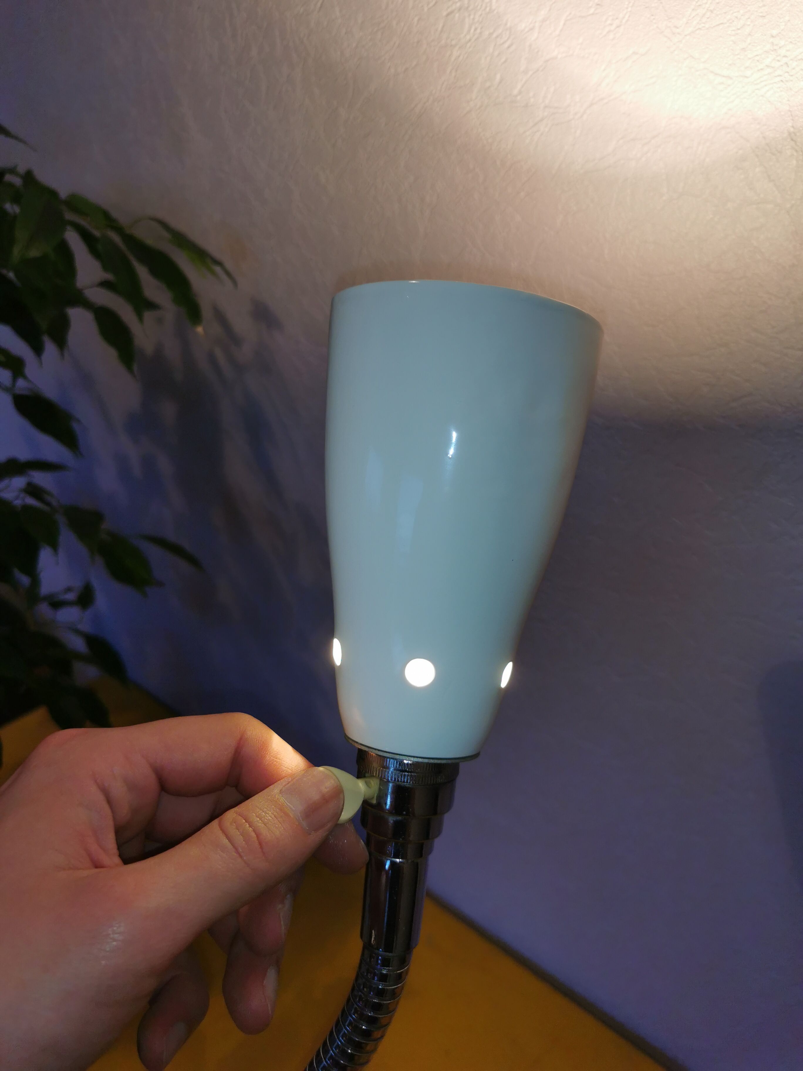 Kieklair natural science lamp, France, 1958