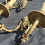 Series d e 3 applied in bronze/lion's head