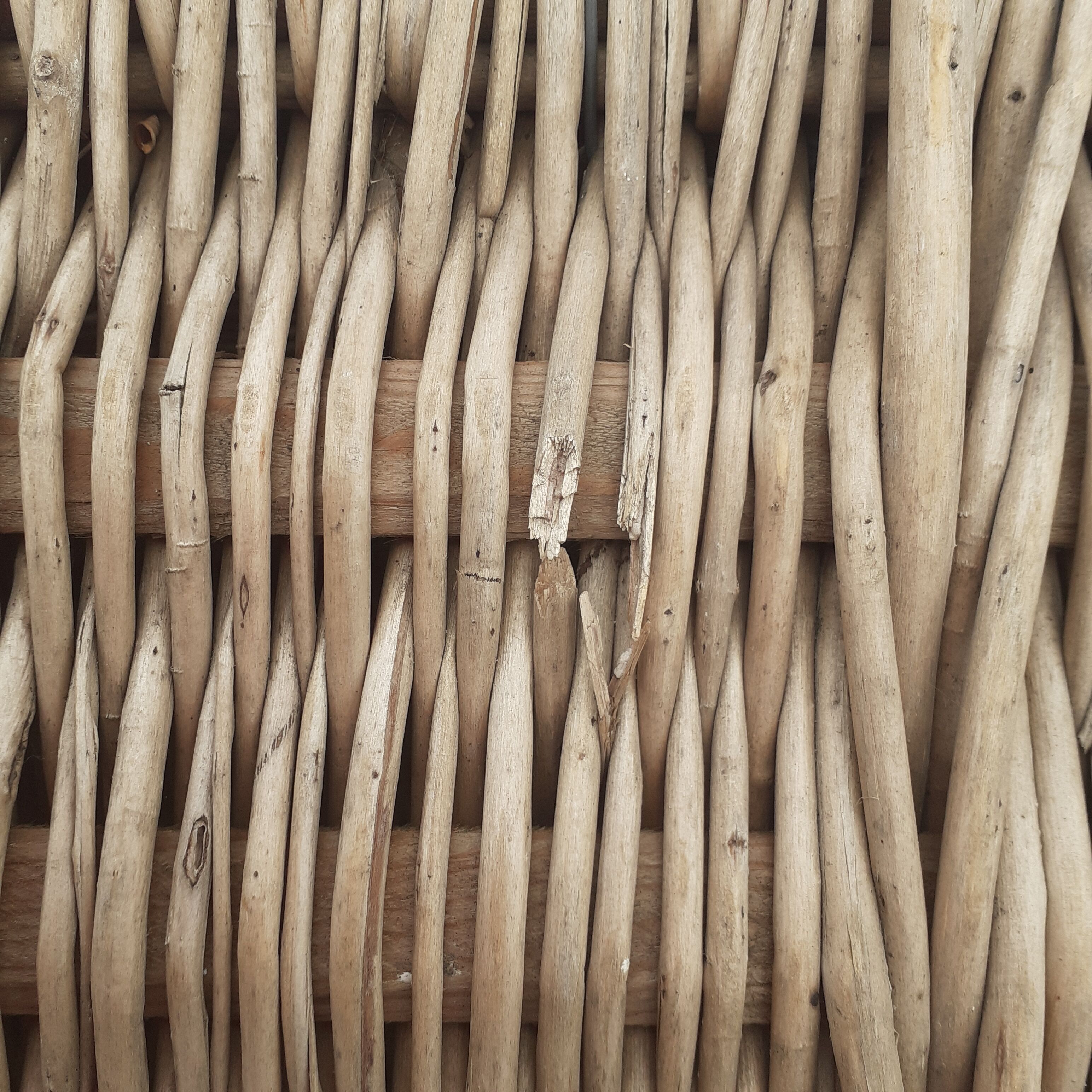 Large wicker trunk with its closing bar.