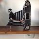 Zeiss Ikon bellows camera with its saddlebag