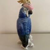 Cacatoès Larl Ens