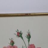 Great Redouté Lithograph