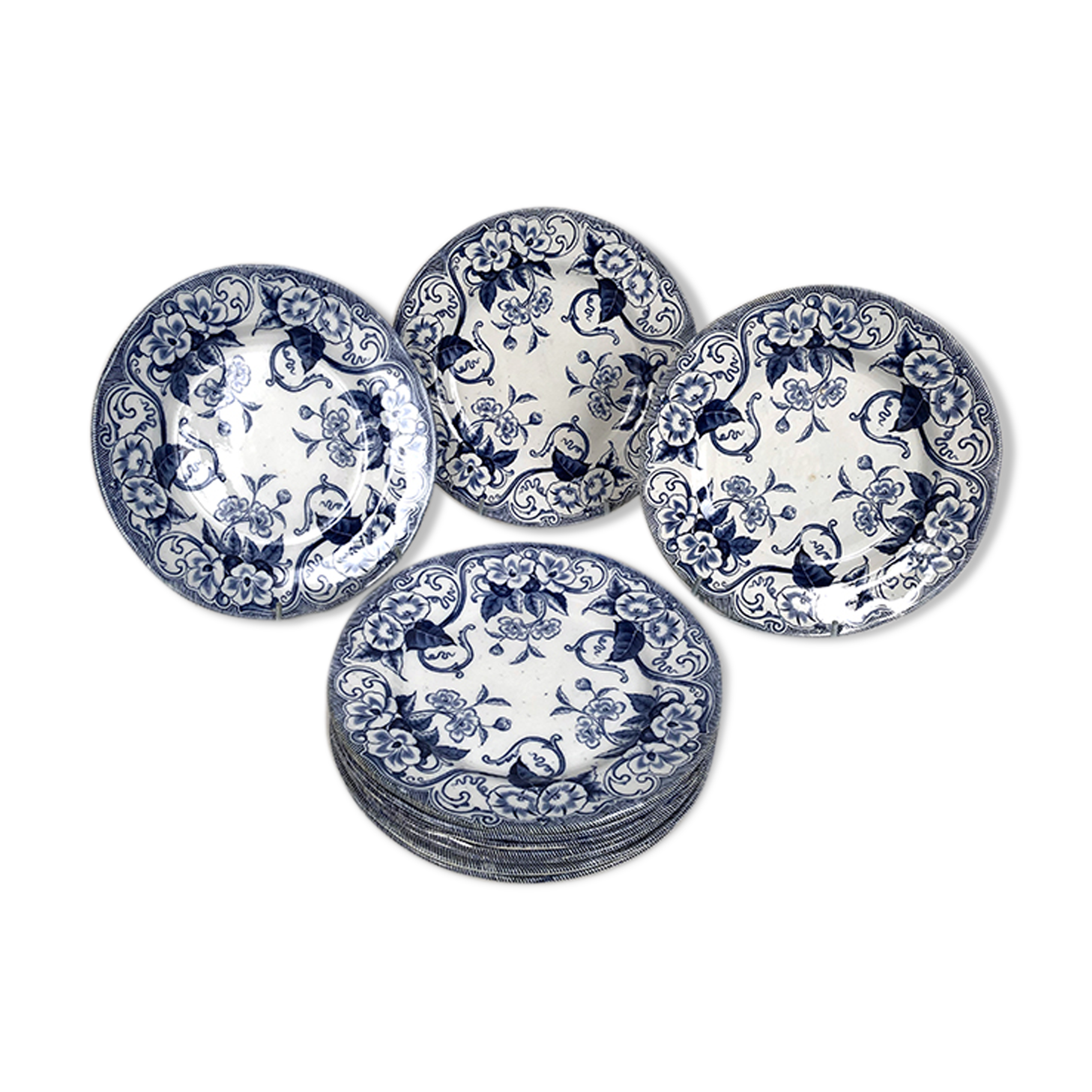 Creil & Montereau nineteenth series, Flora model. Ten flat plates