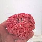 Vintage red coral duo