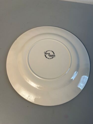 6 assiettes plates vintage Myott Meakin