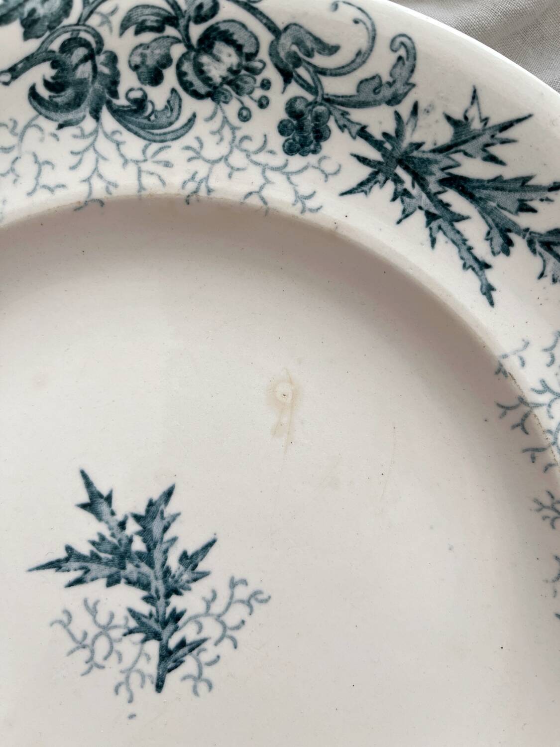 5 old flat ironstone plates “Cyrano” Longwy
