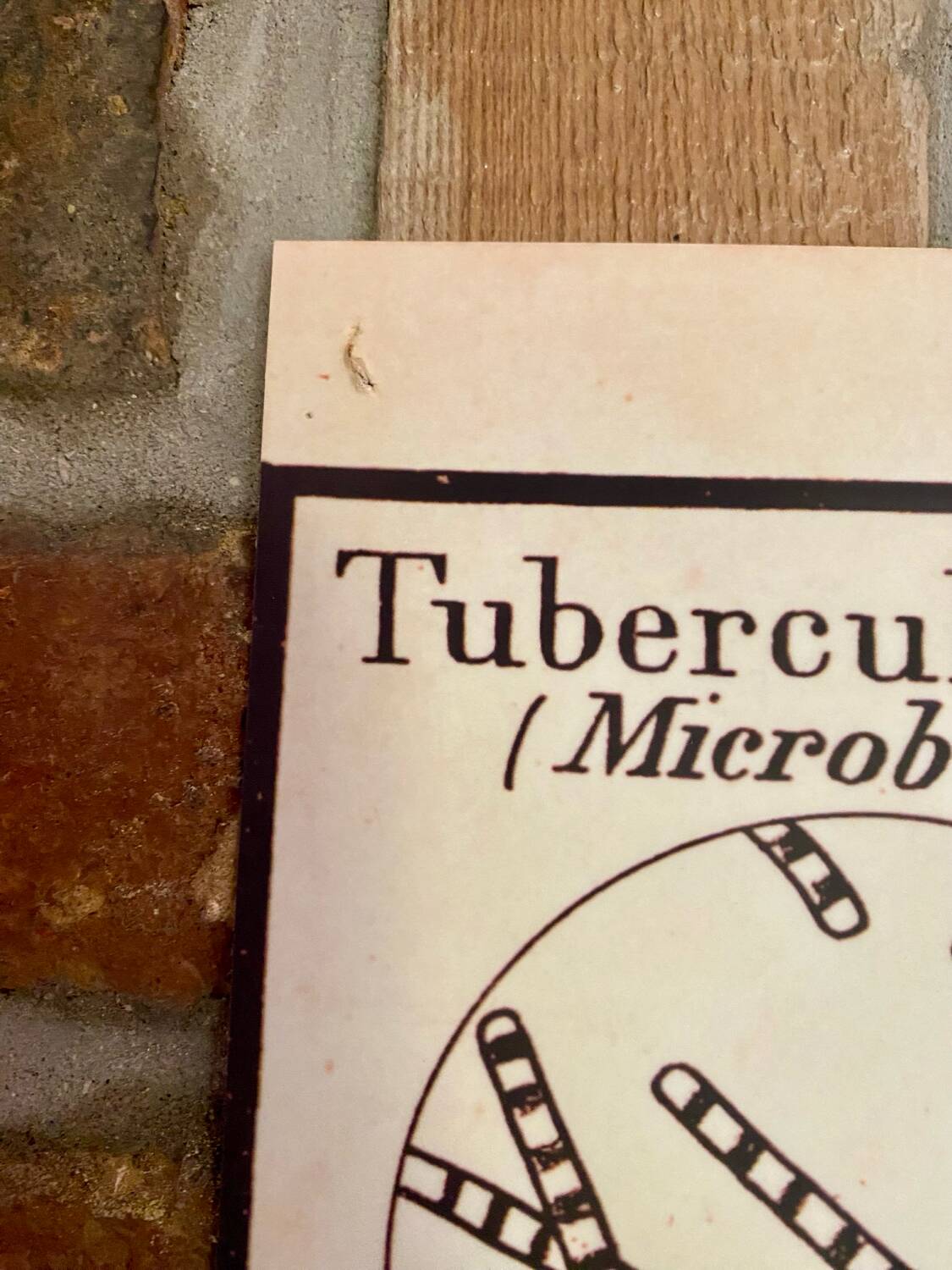 Butchery poster (reissue)