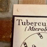 Butchery poster (reissue)