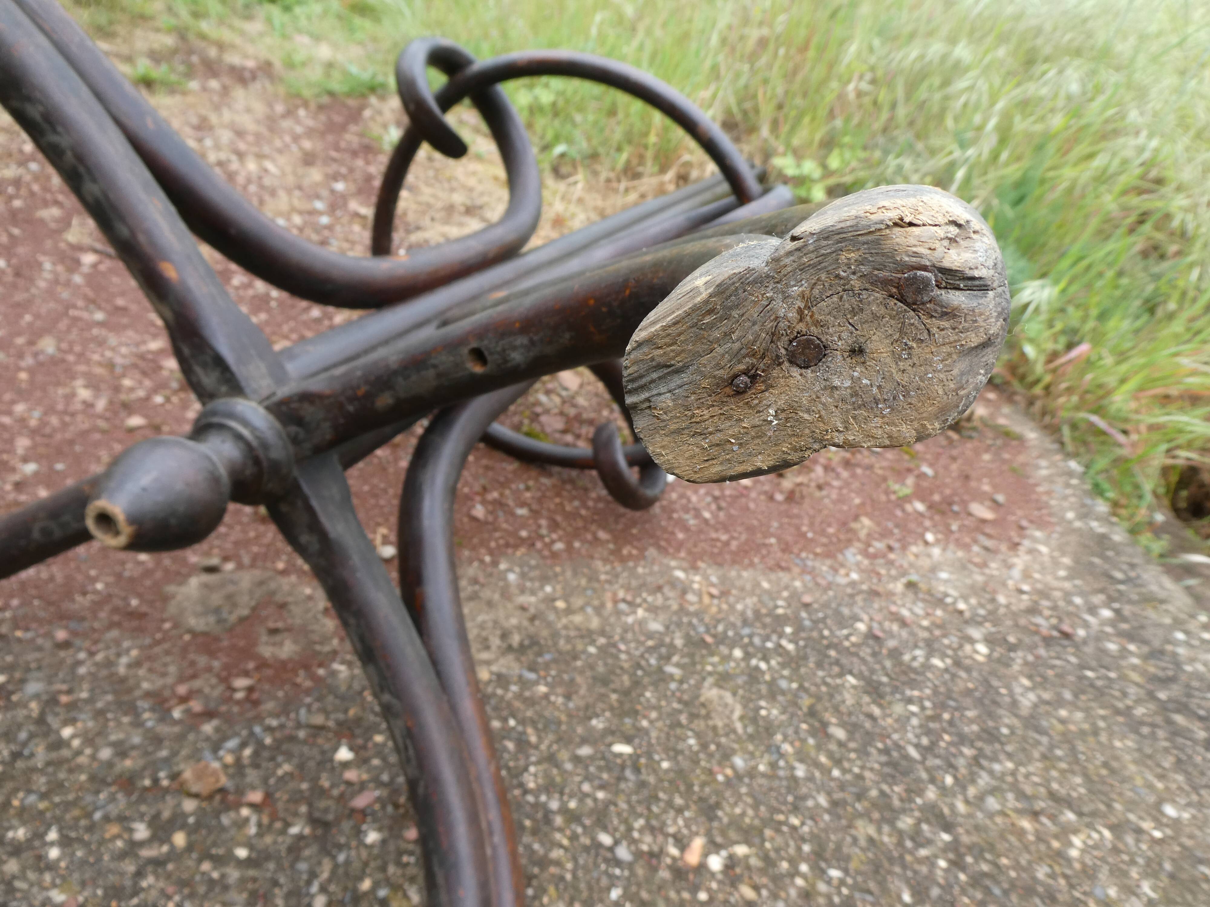 Parrot coat holder in curved wood - Art Nouveau