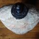 Mannequin couture wasp size blacked wood Napoleon lll